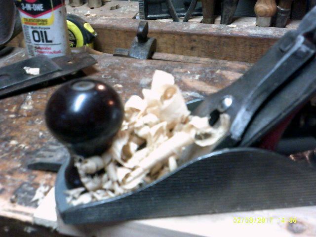 shavings.JPG