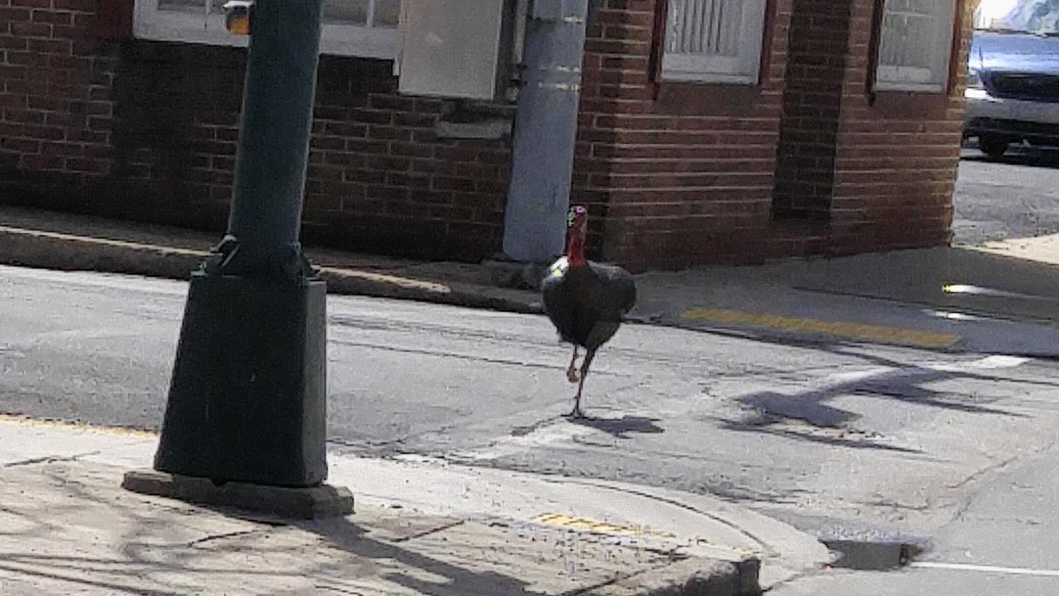 0404171214.thumb.jpg.0f02f220f536bec0a243135e2a72400e.jpg