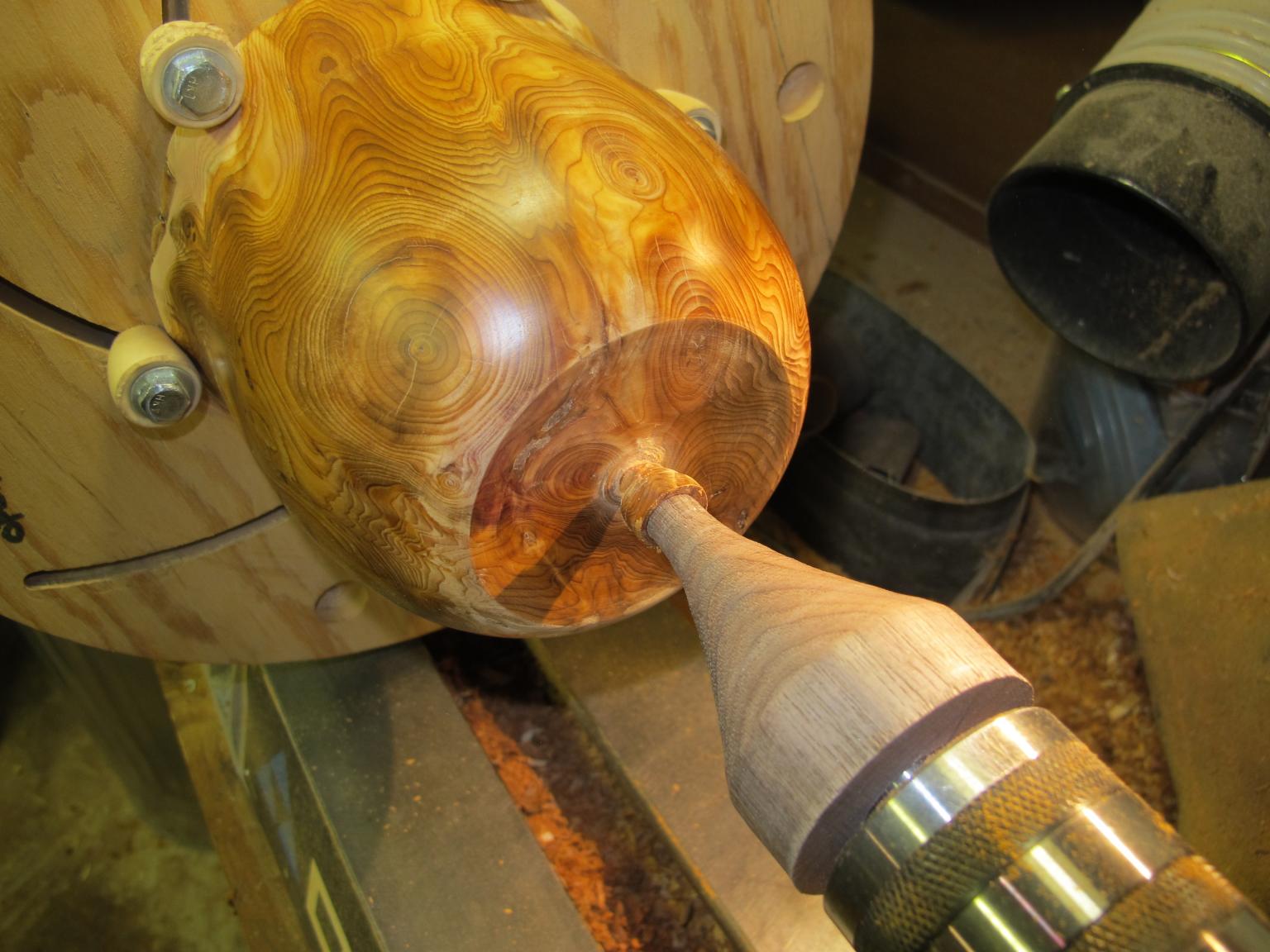 591af981764d1_nub.thumb.JPG.dac778c3995e99f3c3b44bd7d4819355.JPG