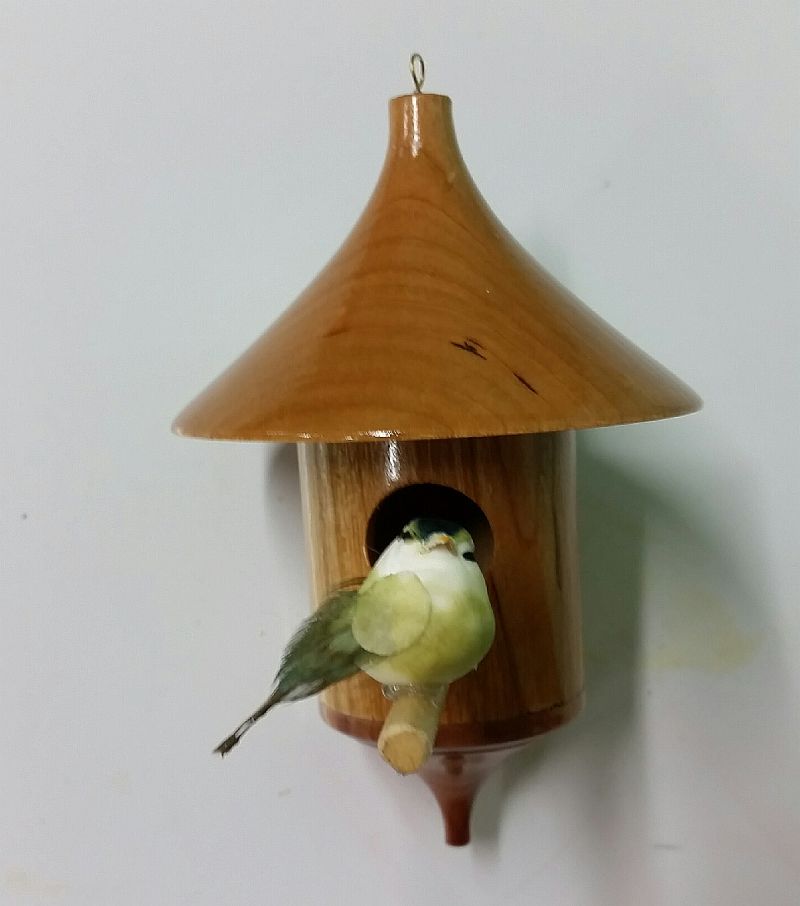 592203dc66c8f_BirdHouse1.jpg.c7784b8cad0b19ae6dd52c0166b1cc70.jpg.981f1cf7271a4dbb5bd0b7ab569c0ad9.jpg