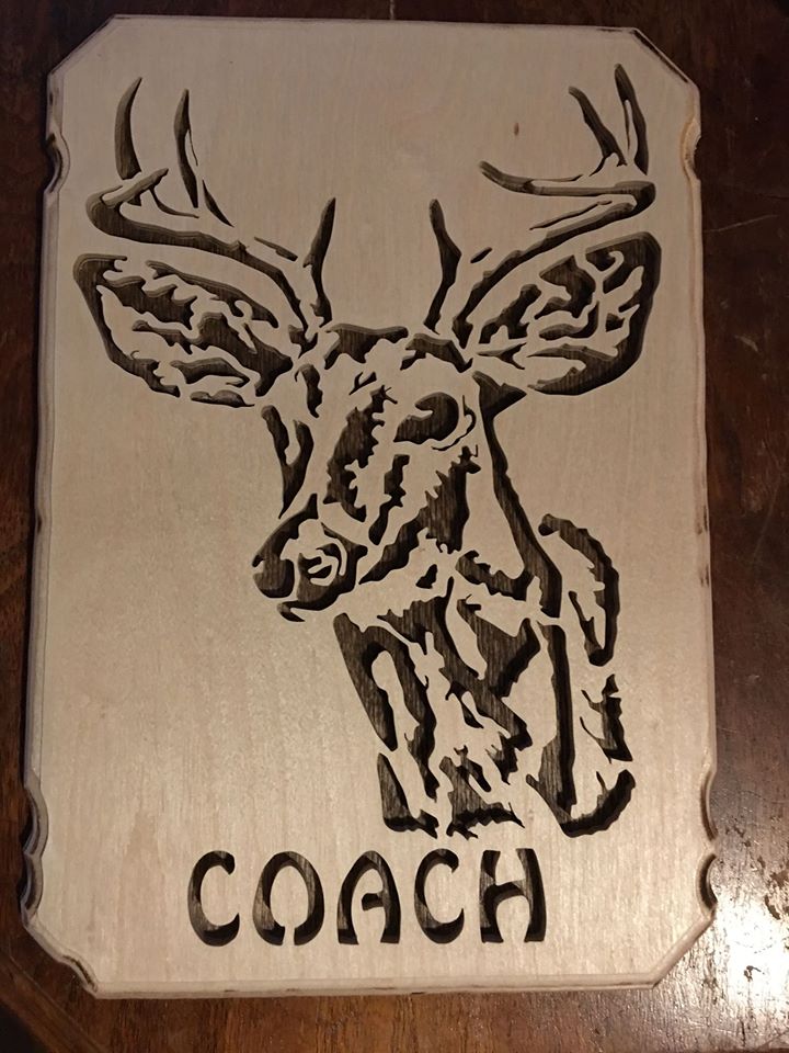 59285d82b7eea_aadeerCoach.jpg.c7a69b51744085b1964dcc7fbfb184ed.jpg