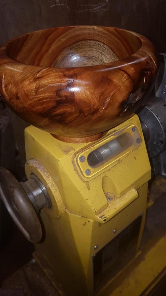 large.5927a2efd87f5_CamphorLaurel220mmby140mmBowl(4).jpg.a97559953b279059a3e2b293003875de.thumb.jpg.64090429764fe5a44677102b8bdb21fb.jpg