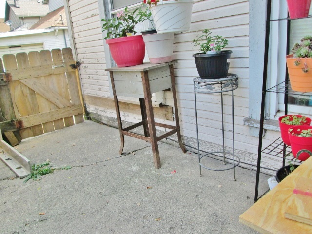 59343b4bcbc66_plantstand.jpg.be2337fd43634bee558618b7f44145cb.jpg