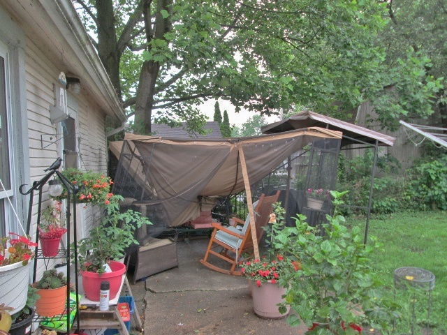 5941879a2f713_stormdamage.jpg.99df1319bd4dc8cf84846196c7d4dff4.jpg