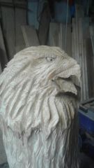 Echo eagle