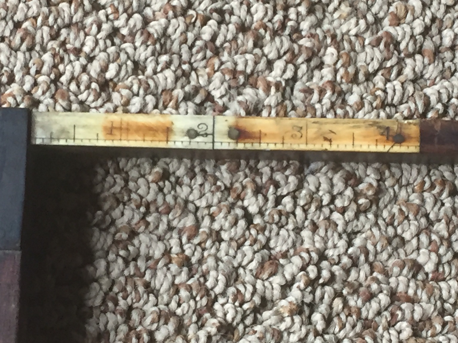 FullSizeRender 5.jpg