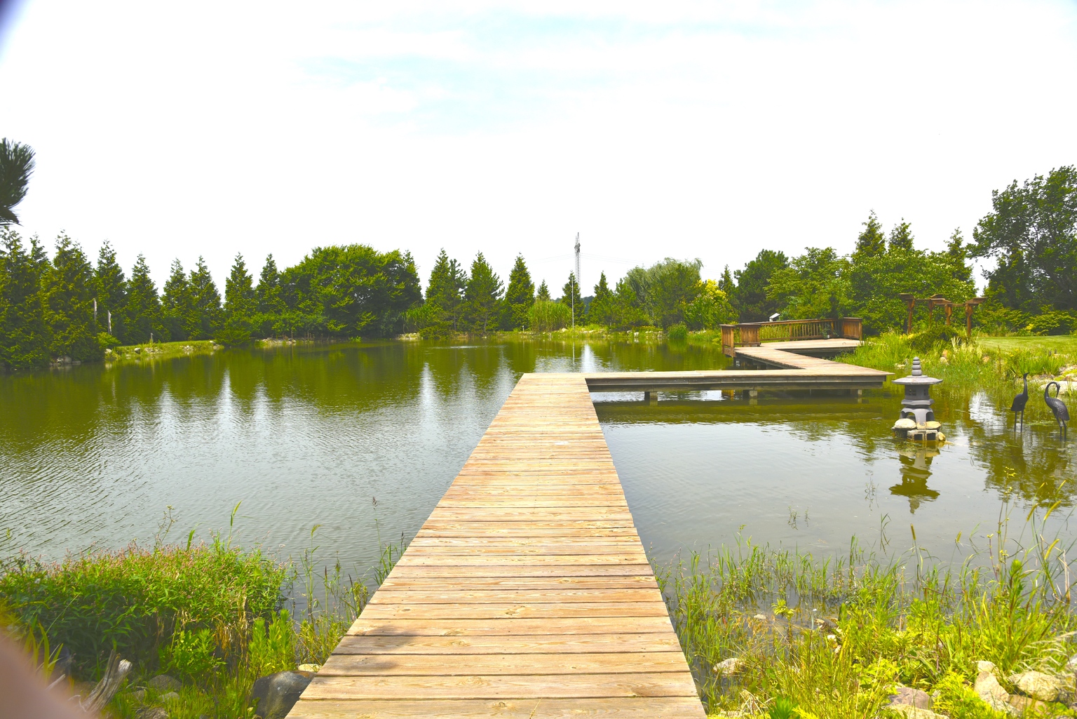 pond3.JPG