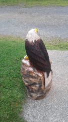 Perched eagle 4