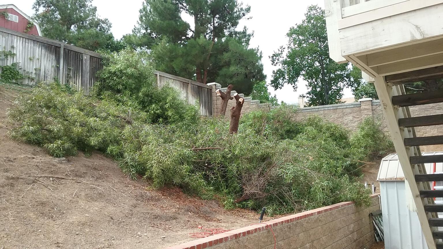 2017-09-21 11.51.32.jpg