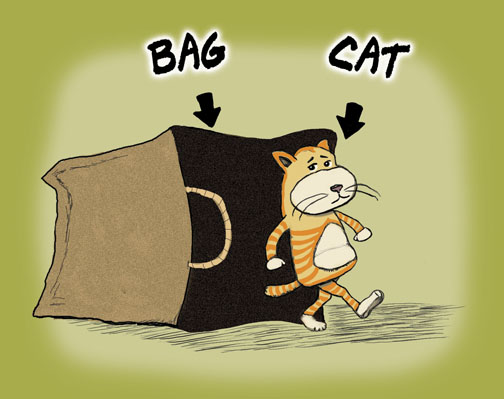 catbag1.jpg.8572109ece46090133fe889c498e82f0.jpg