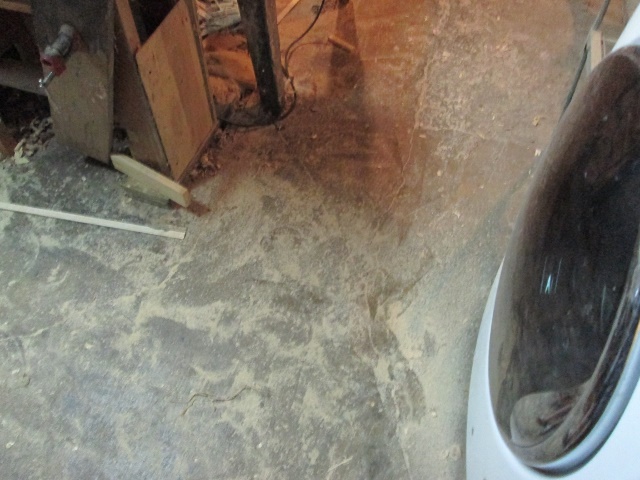 floor.jpg.89d89abe8935344103c89bd4843a4afe.jpg