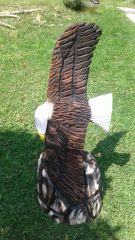 Flying eagle  2