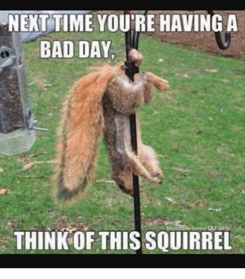 next-time-youre-having-a-bad-day-think-of-this-6403360.png.a59d95b26b512bbb883a81362eb68fdd.png