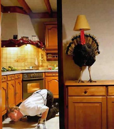 THANKSGIVING turkey hiding under lampshade.jpg