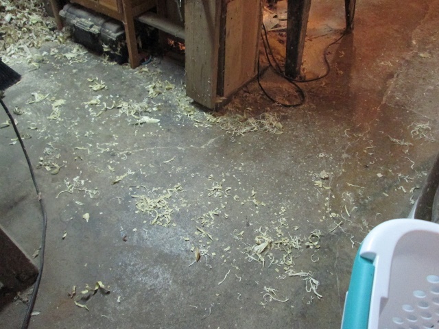 shavings.jpg.56c71c2b84e9761e97dab46f65eab381.jpg