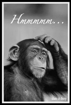 tpwmonkey.jpg.18f5465622dcaf7208993aeede6f1645.jpg