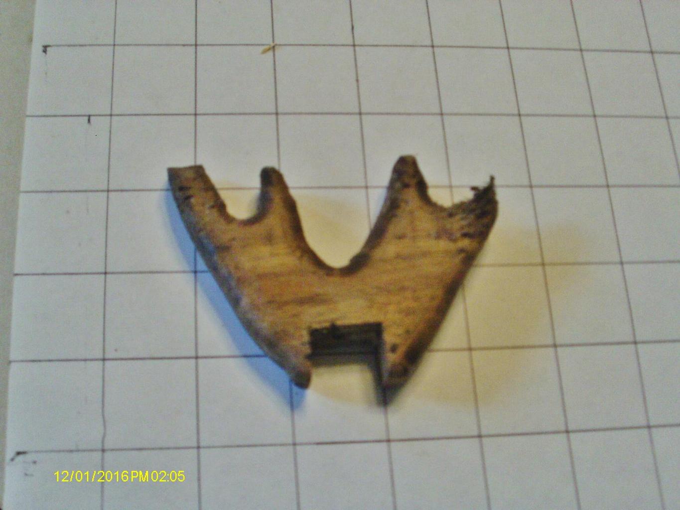 antlers.thumb.JPG.db35b6b495a74a71f73ef8857fc00b83.JPG