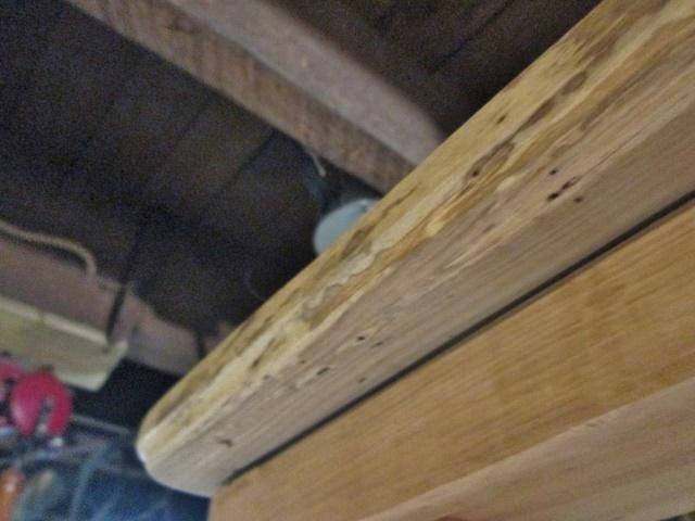 5a6a24edebcbf_topdetails.jpg.e393e155a2dfb4f17c130d76aca4aa90.jpg
