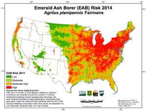 EAB-distribution-300x228.png.9f104ee31cac7c5f3bfb0e63756dc84e.png
