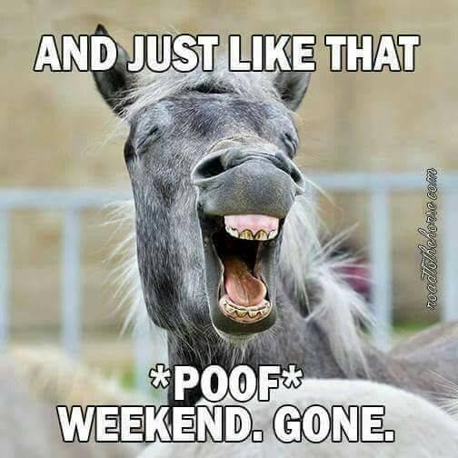 WeekEngGone.jpg.3b8a5721f2fa2d93875e0338a943339b.jpg