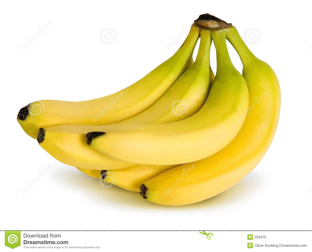 image.png.7e8a8f81603a4347e2d40f1194778158.png