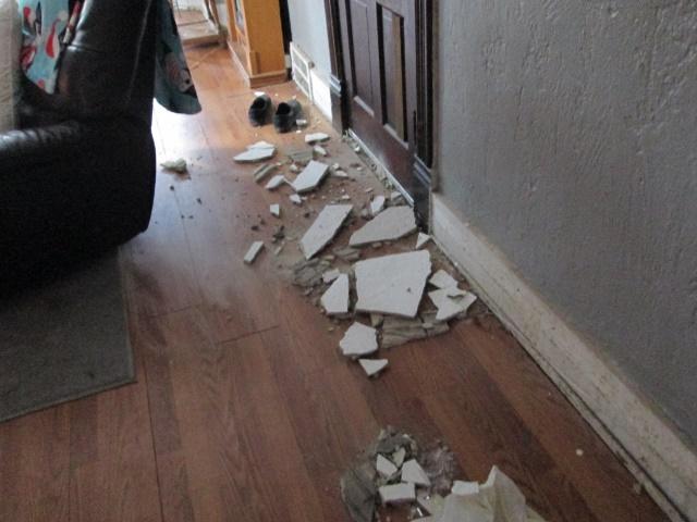 plastered.jpg.877d9a420bb5cf844343a0353cbecf90.jpg