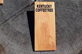 coffee tree.jpg