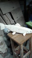 Rainbow trout 2