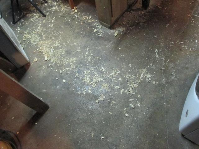 687305173_messyfloor.jpg.7ea9723240cb7aa16faf1227042c39fb.jpg
