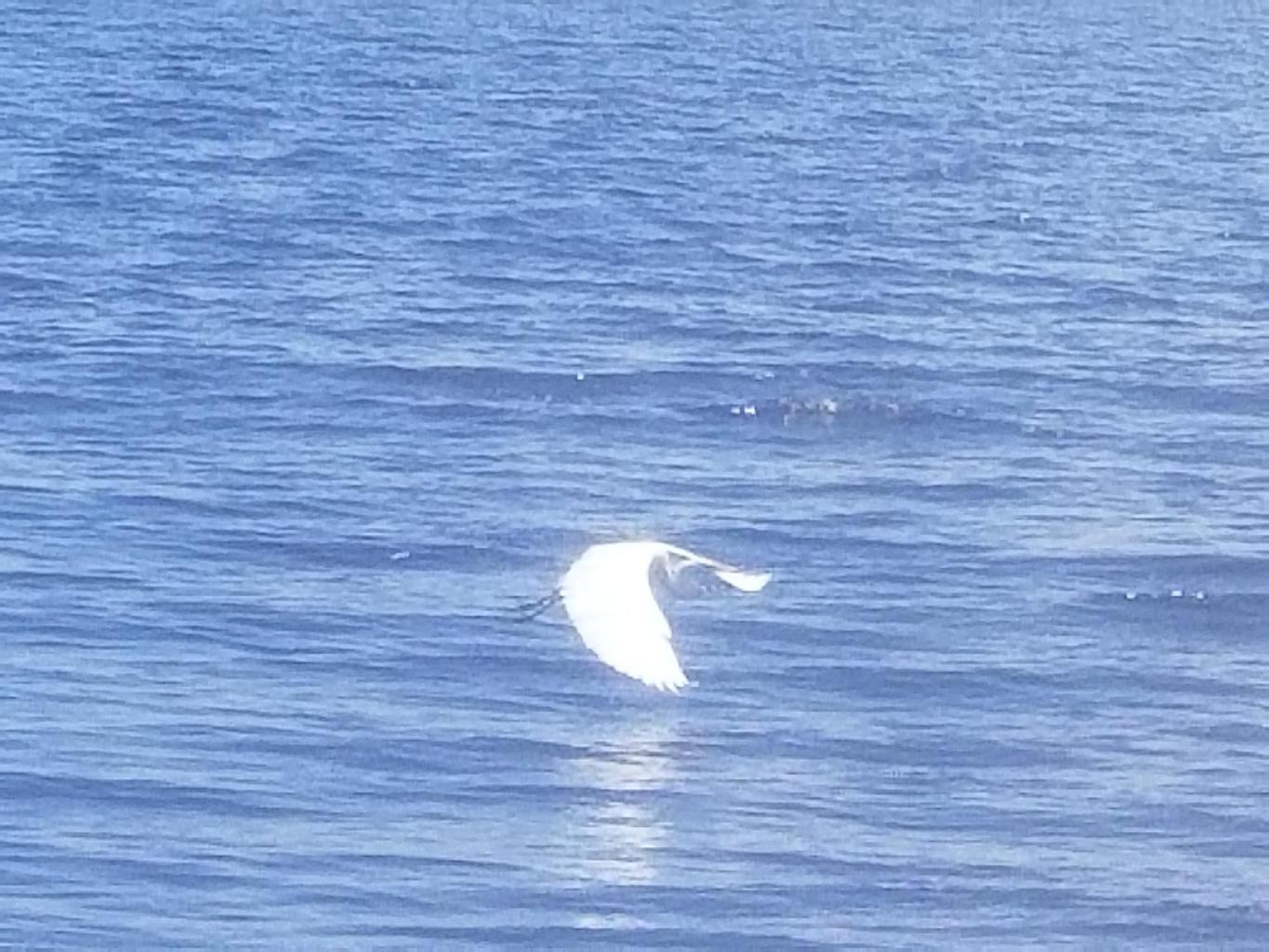 20180505_131719.jpg