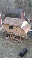 Chicken coop 1