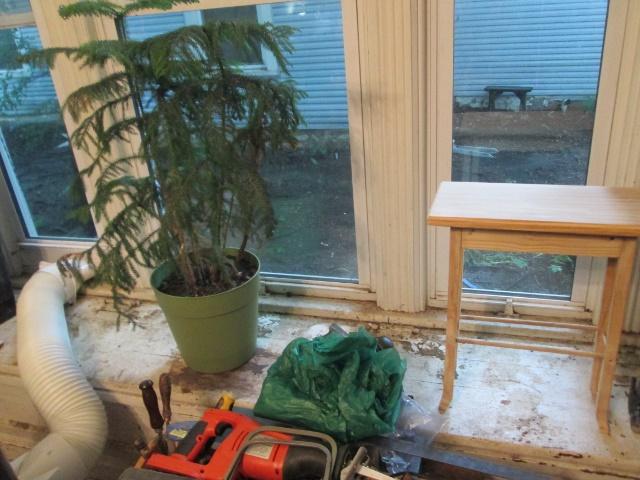 1274770212_bigplanter.jpg.909485a6a42fafb66736e39263ace9a5.jpg
