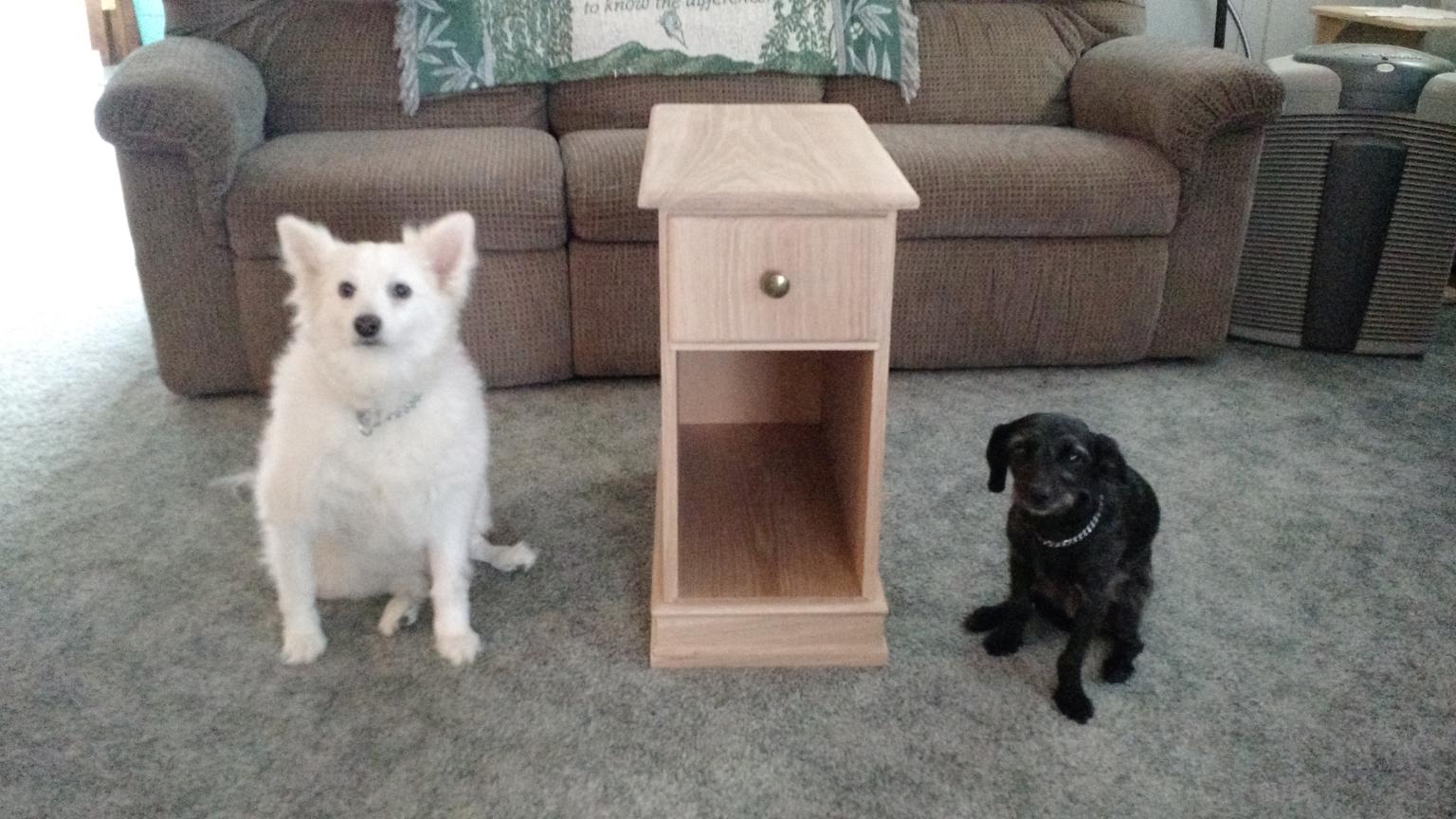 633407319_MeganandAbby.jpg.06ad49a7655624cc8f8fddc14ae2b4f4.jpg