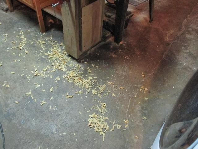 97654110_secondshavings.jpg.abc76cd19365dae90fa23d56a716fa51.jpg