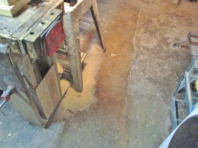 dusty.jpg.9b15f5eba4e437442eb22d894a3ff13d.jpg