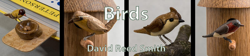 Banner02283.JPG.fed0bd88f4d3c7f46aaa82b15a98959e.JPG
