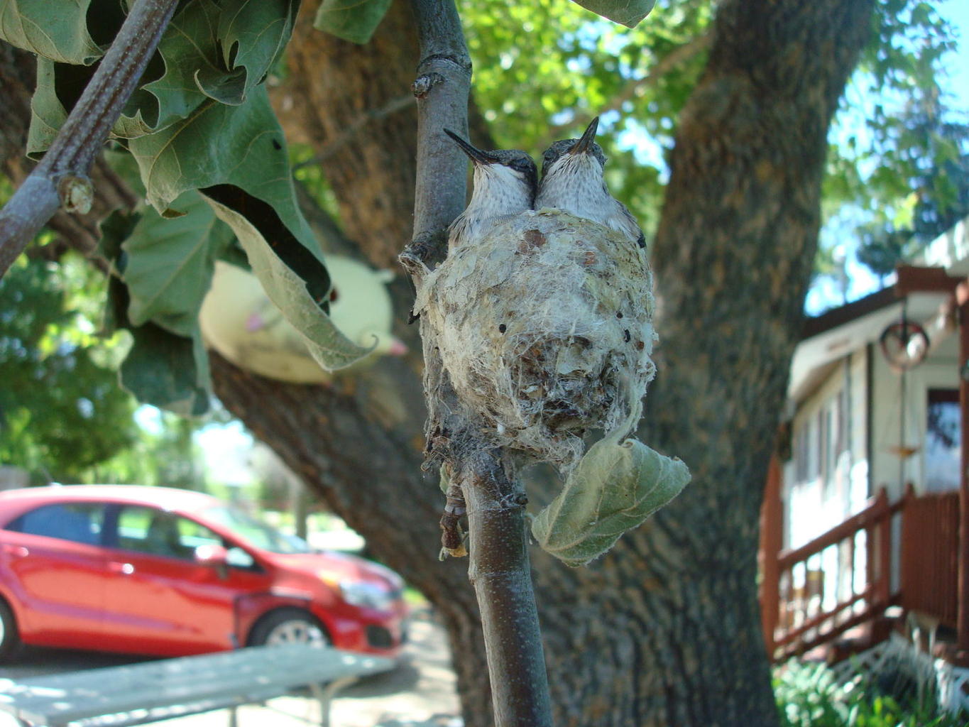 DSC04101.JPG