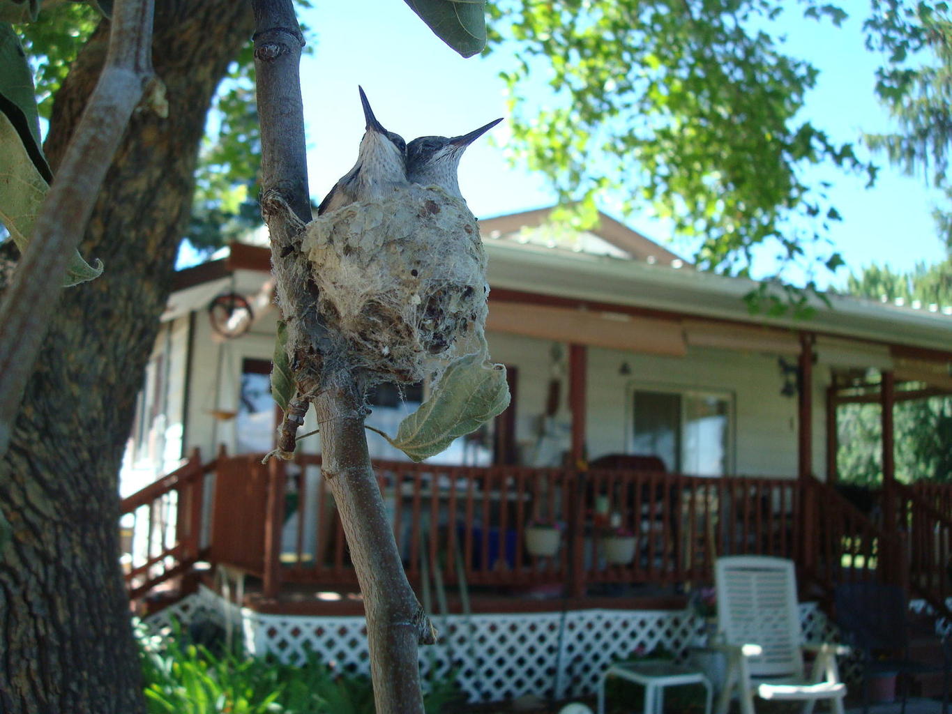 DSC04105.JPG