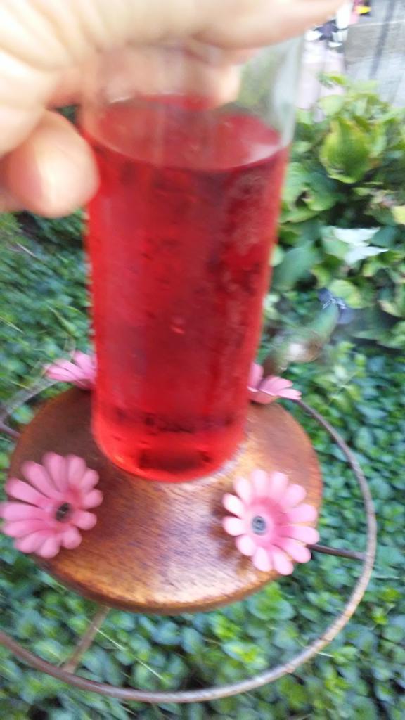 20180910_190839.jpg.09e315717a99bb9782c30d4fb1cbce03.jpg