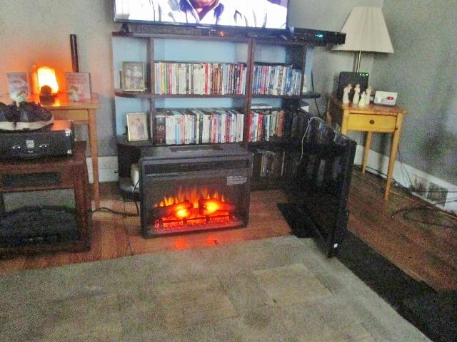bookcase.jpg.3107c4c5d1b1ab1244466becca76e713.jpg