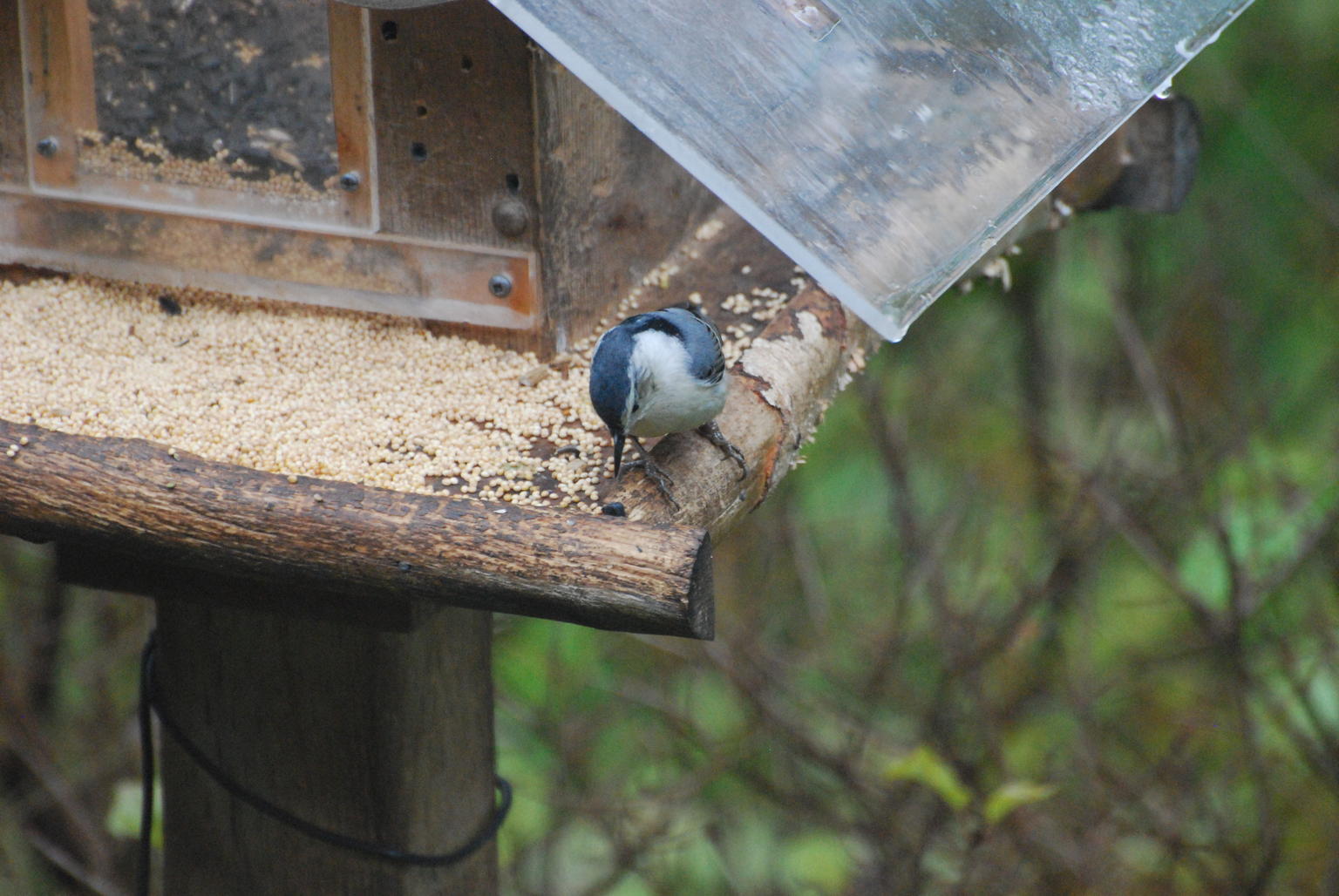 A different kind of workbench