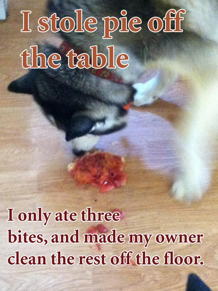 image.png.a0e1e364624e4ca9a46c5379c07a6ceb.png