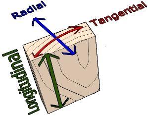 302995962_shrinkagewoodmovement3.jpg.08b538a4f8b05693bc8ca2a372912c77.jpg