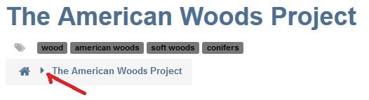 american woods.JPG
