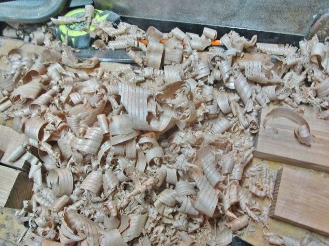 shavings.jpg.dc642a3d36a82aa9a41713fe274d0973.jpg