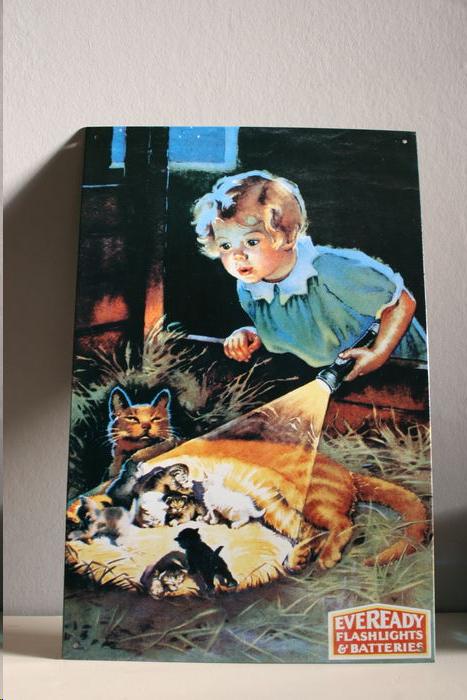 What Batteries Do you use?