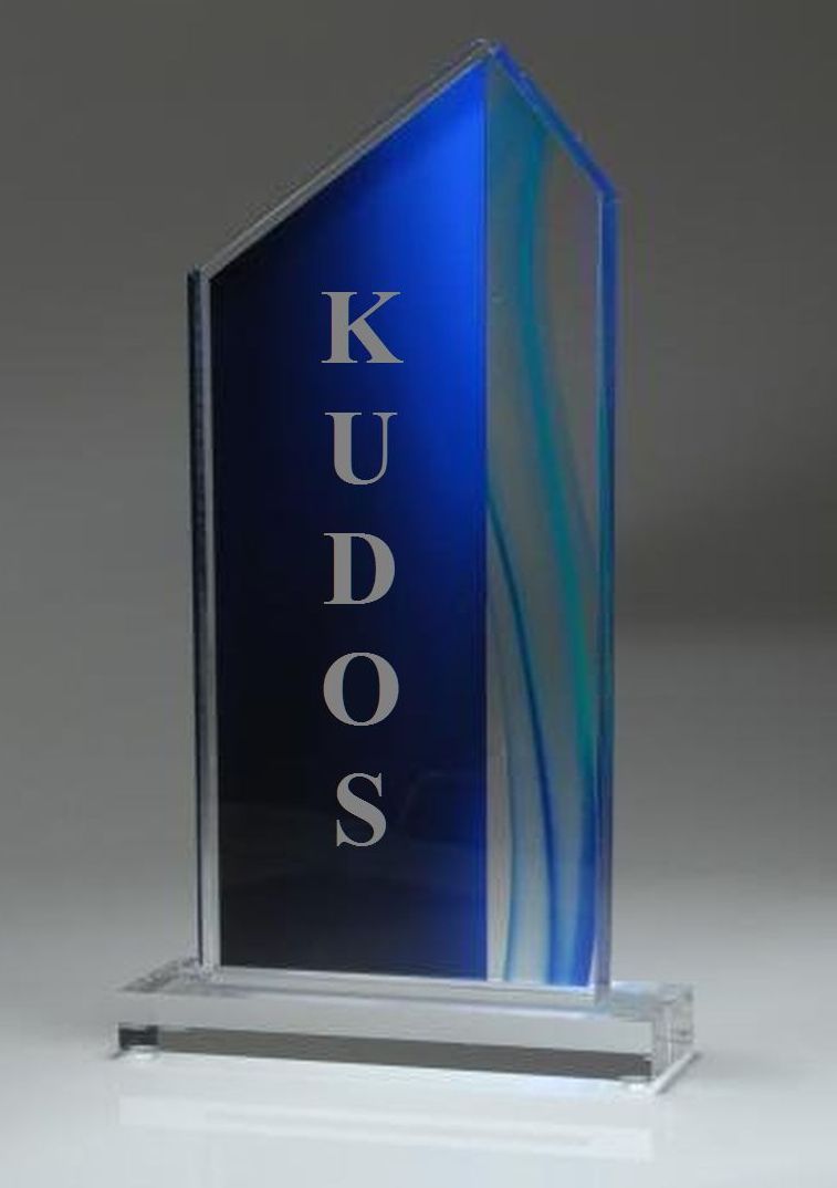 KUDOS.jpg.4f885471adac0b8c471d3cce5f6dd987.jpg
