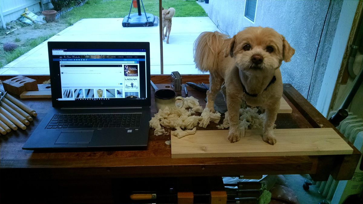 shaker rocker back assembly (3).jpg