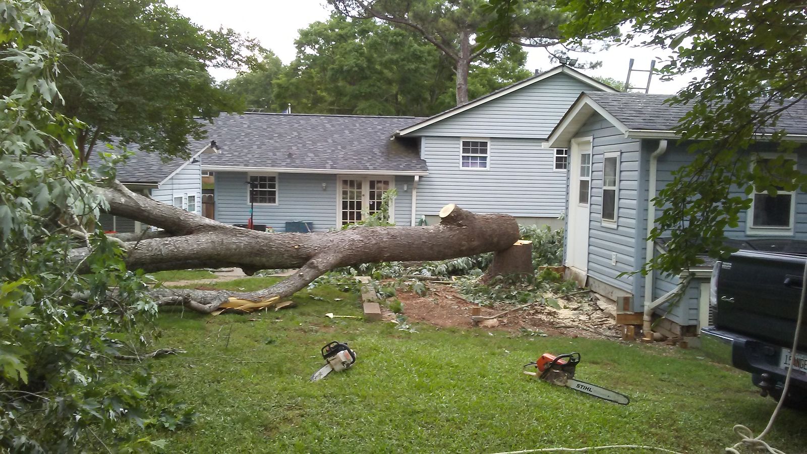 657894717_Treecomesdown(5).jpg.54d304f9644338bf884adc6a8f27cdf5.jpg