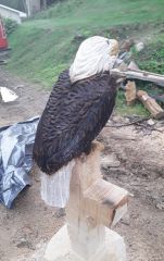 Eagle cross 3